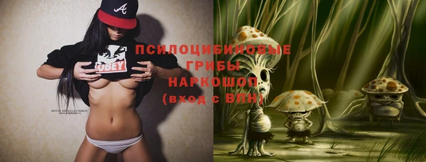 тгк Баксан
