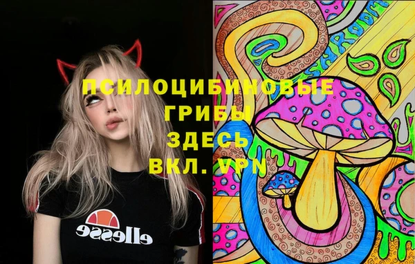 тгк Баксан