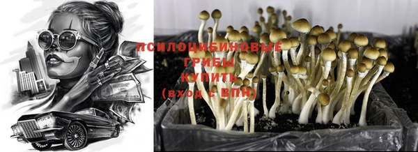 тгк Баксан