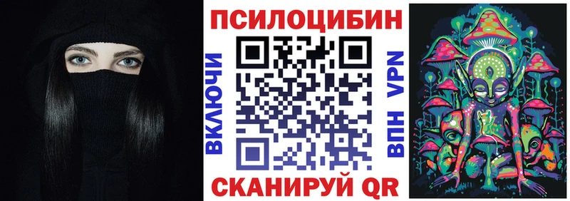 Галлюциногенные грибы Psilocybe  купить   Гороховец 